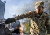 48832518408_bb267348f9_k